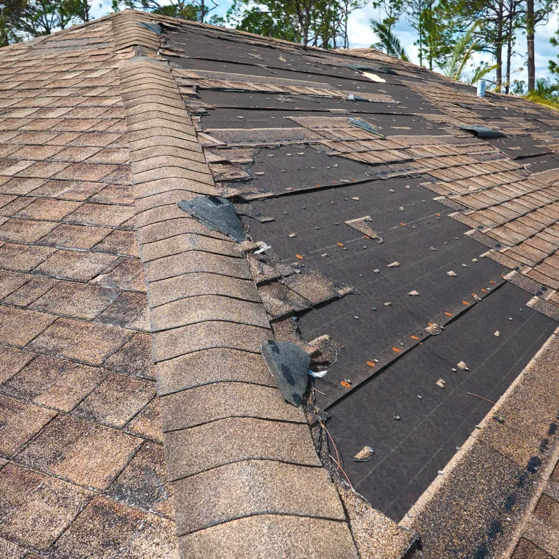 Storm Damage & Insurance Claims 1